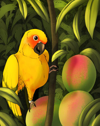 Mango - Pet Portrait